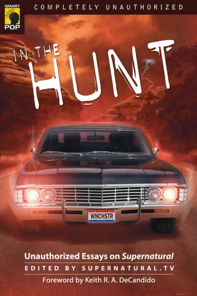 In the Hunt book cover